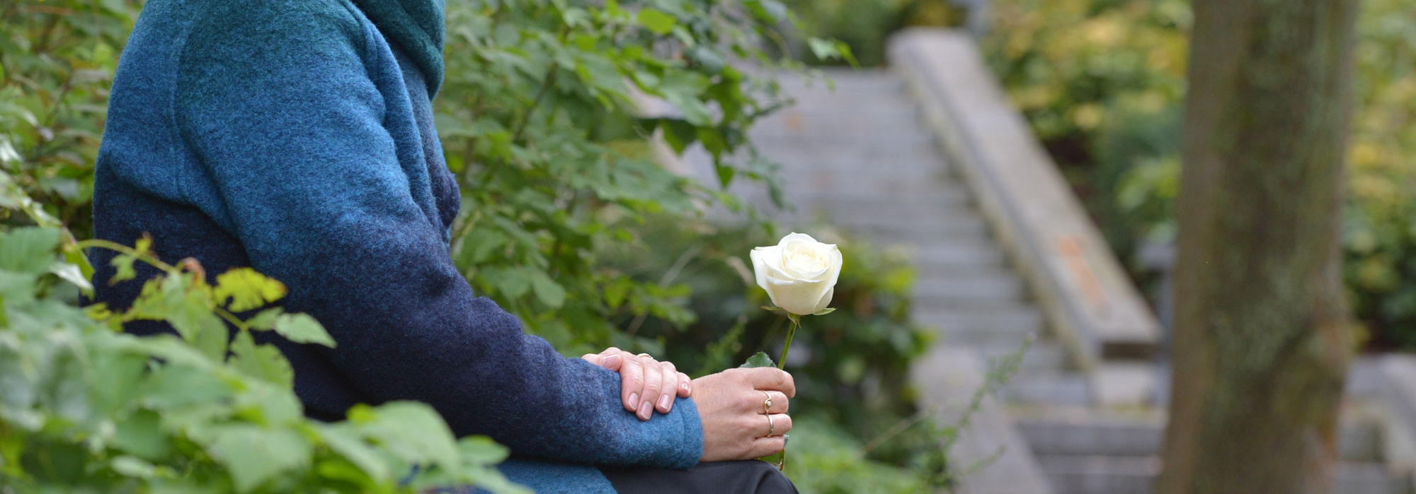 Eine Person sitzt auf einer Parkbank und hält eine weiße Rose in der Hand.
