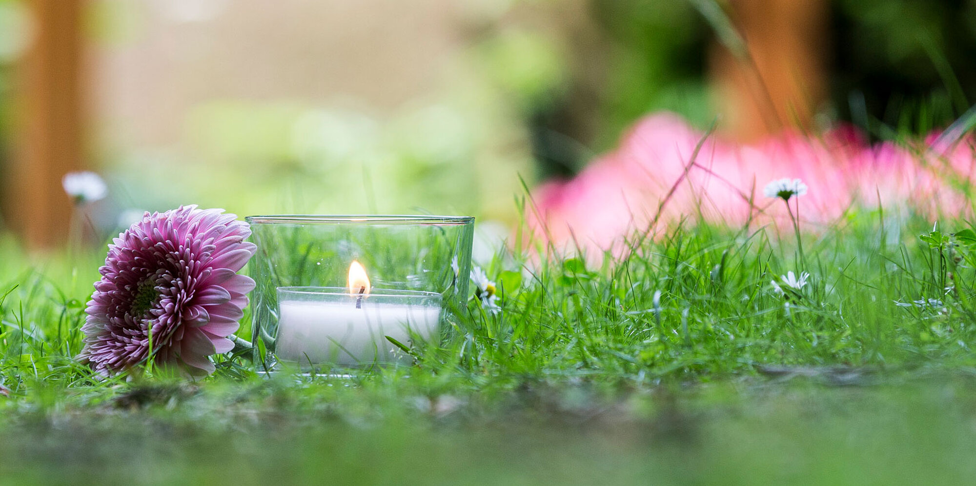 Eine Kerze und eine Blumenblüte stehen auf einer Wiese.